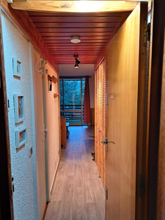 Appartement Montagnard Serre-Chevalier. Сен-Шаффре Екстер'єр фото